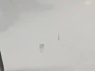 Peça sobressalente para automóvel em segunda mão porta do automóvel traseira esquerda por ford smax ca1 titanium referências oem iam 2416496  