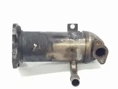 Pezzo di ricambio per auto di seconda mano raffreddatore egr per ford transittourneo custom combi ttf 340 l2 trend riferimenti oem iam gk2q9f464af  2468508