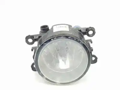 İkinci el araba yedek parçası SAG SIS LAMBASI için FORD FOCUS BERLINA (CAP)  OEM IAM referansları 2N1115201AB  4550597