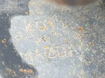 Peça sobressalente para automóvel em segunda mão manga de eixo traseira esquerda por mazda cx5 ke style 2wd referências oem iam kd312612xa  kd312612xa