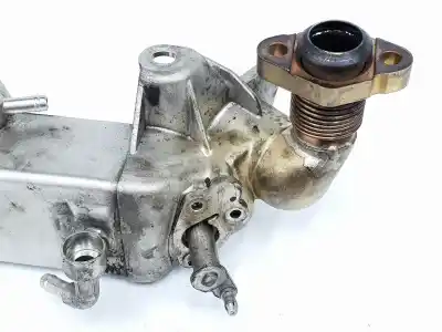 Pezzo di ricambio per auto di seconda mano raffreddatore egr per bmw serie 1 berlina 5p (f20) 2.0 116d riferimenti oem iam 7810751  11717810751