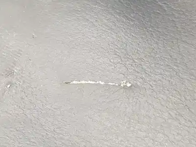 Second-hand car spare part handbrake lever for opel vivaro furgón/combi (07.2006 =>) furgón 2.9t l1h1 146 cv / 107 kw oem iam references 93854507  93868892