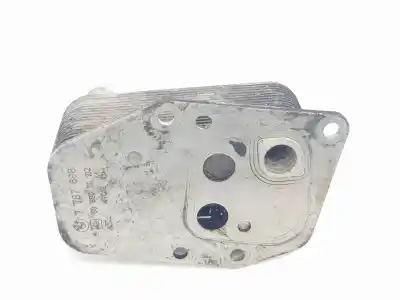Pezzo di ricambio per auto di seconda mano RADIATORE OLIO per BMW SERIE 3 BERLINA (E46)  Riferimenti OEM IAM 7787698  11427787698