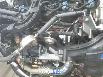 Pezzo di ricambio per auto di seconda mano motore completo per ford transit courier trend riferimenti oem iam xwcb  