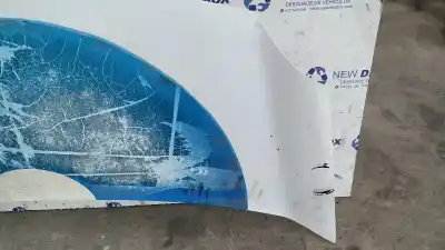 Peça sobressalente para automóvel em segunda mão capot por renault kangoo furgón confort referências oem iam   