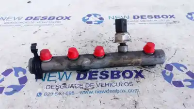 Pezzo di ricambio per auto di seconda mano Rampa Iniettori per AUDI Q7 (4L) 3.0 V6 24V TDI Riferimenti OEM IAM 059130089AB  