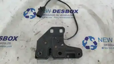 Peça sobressalente para automóvel em segunda mão Fechadura Do Capô por AUDI Q7 (4L) 3.0 V6 24V TDI Referências OEM IAM 8E0823503C  
