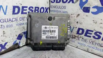 İkinci el araba yedek parçası Ecu Motor Kontrol Cihazi için VOLKSWAGEN GOLF IV BERLINA (1J1) 1.6 16V OEM IAM referansları 036906034CN  