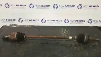 Pezzo di ricambio per auto di seconda mano trasmissione anteriore destra per citroen c1 1.0 cat (384f) riferimenti oem iam 