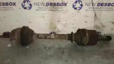 İkinci el araba yedek parçası ön sol sanziman için ford focus berlina (cap) ambiente (d) oem iam referansları 3m513b437dae