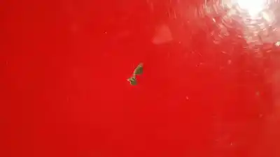 Peça sobressalente para automóvel em segunda mão capot por ford galaxy (vy) ambiente referências oem iam 1316291  