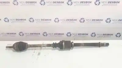 İkinci el araba yedek parçası  için RENAULT SCENIC II  OEM IAM referansları 8200436366  