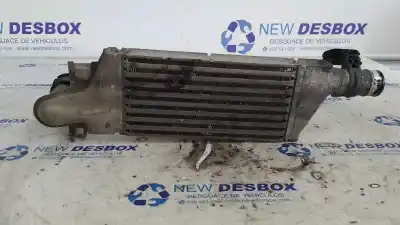Pezzo di ricambio per auto di seconda mano intercooler per opel combo cargo riferimenti oem iam 24466787  