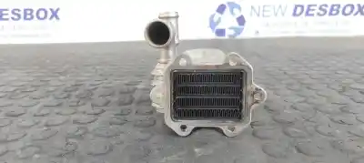 Pezzo di ricambio per auto di seconda mano raffreddatore egr per audi a3 (8p) 2.0 tdi ambiente riferimenti oem iam 03g132513j  