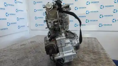 Gebrauchtes Autoersatzteil kompletter motor zum honda shadow 750 (vt750cs) shadow 750/ vt750cs oem-iam-referenzen rc19e  