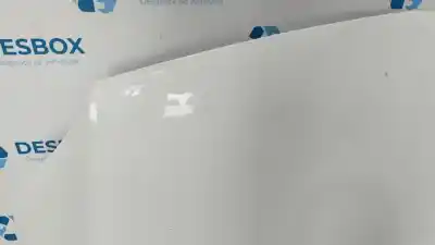 Peça sobressalente para automóvel em segunda mão capot por renault kangoo furgón confort referências oem iam   