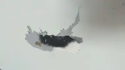 Автозапчастина б/у капок для nissan interstar mod. 04 (x70) 2.5 dci diesel cat посилання на oem iam   