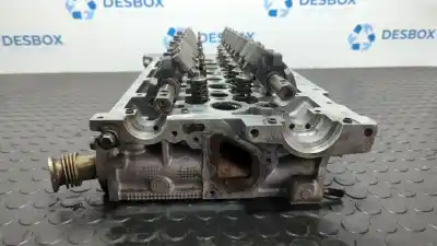 Peça sobressalente para automóvel em segunda mão cabeça / culatra por nissan interstar mod. 04 (x70) 2.5 dci diesel cat referências oem iam 8200408842  