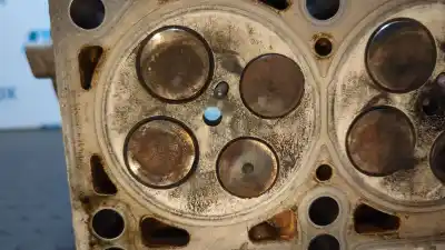 Peça sobressalente para automóvel em segunda mão cabeça / culatra por audi a4 avant (8e) 2.5 tdi quattro (132kw) referências oem iam hol03 / 059e  