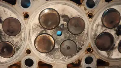 Peça sobressalente para automóvel em segunda mão cabeça / culatra por audi a4 avant (8e) 2.5 tdi quattro (132kw) referências oem iam hol03 / 059e  