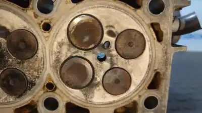 Peça sobressalente para automóvel em segunda mão cabeça / culatra por audi a4 avant (8e) 2.5 tdi quattro (132kw) referências oem iam hol03 / 059e  