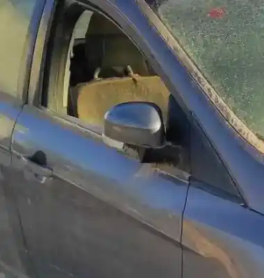 Peça sobressalente para automóvel em segunda mão espelho retrovisor direito por ford focus lim. (cb4) 1.6 g referências oem iam 