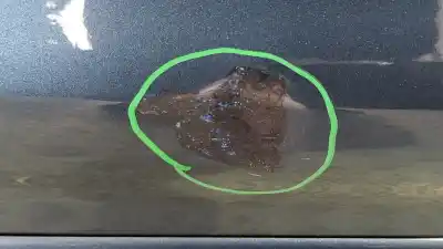 Автозапчасти б/у дверь задняя правая за ford kuga iii (dfk) 1.5 ecoboost ссылки oem iam   