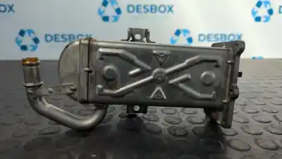 Автозапчасти б/у ОХЛАДИТЕЛЬ РОГ за SEAT LEON (1P1) Reference ссылки OEM IAM 03L131512DQ  