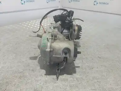 Pezzo di ricambio per auto di seconda mano motore completo per piaggio (vespa) vespa c38 lx 50 riferimenti oem iam c161m  