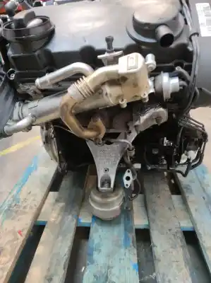 Pezzo di ricambio per auto di seconda mano motore completo per audi a4 b7 avant (8ed) 2.0 tdi 16v riferimenti oem iam bre  