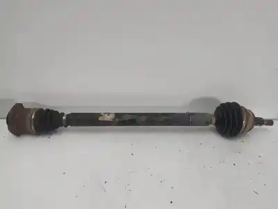 Peça sobressalente para automóvel em segunda mão transmissão dianteira direita por seat leon (1m1) 1.6 16 v referências oem iam 