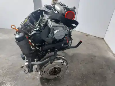 Pezzo di ricambio per auto di seconda mano motore completo per seat leon (1m1) 1.9 tdi riferimenti oem iam alh  