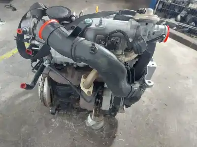 Pezzo di ricambio per auto di seconda mano motore completo per seat leon (1m1) 1.9 tdi riferimenti oem iam alh  