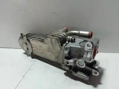 Pezzo di ricambio per auto di seconda mano raffreddatore egr per seat leon (1p1) bkd riferimenti oem iam 03g131513j  