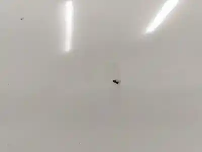 Second-hand car spare part left front fin for opel vivaro furgón/combi (07.2006 =>) m9r7 oem iam references   