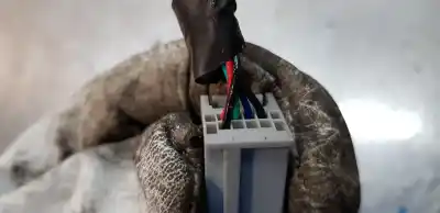 Peça sobressalente para automóvel em segunda mão espelho retrovisor direito por ford ecosport trend referências oem iam cn1517682bg  