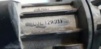 Pezzo di ricambio per auto di seconda mano collettore di aspirazione per skoda rapid elegance riferimenti oem iam 03l129711   Pezzo di ricambio per auto di seconda mano collettore di aspirazione per skoda rapid elegance riferimenti oem iam 03l129711