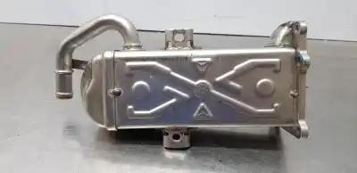 Pezzo di ricambio per auto di seconda mano raffreddatore egr per skoda superb combi (3t5) active riferimenti oem iam 03l131512bj  