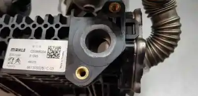 İkinci el araba yedek parçası egr sogutucu için peugeot 3008 active oem iam referansları 9813050280  