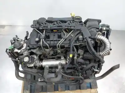 Peça sobressalente para automóvel em segunda mão Motor Completo por FORD FOCUS BERLINA (CAP) Trend Referências OEM IAM HHDA  