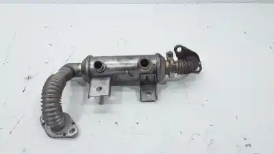 Pezzo di ricambio per auto di seconda mano Raffreddatore Egr per FORD TRANSIT CONNECT (P65_, P70_, P80_) 1.8 Di Riferimenti OEM IAM 4M5Q9F464BD  