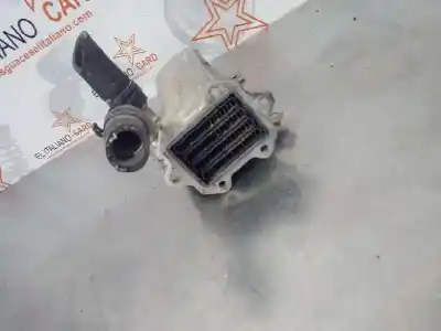 Pezzo di ricambio per auto di seconda mano radiatore olio motore per volkswagen golf v (1k1) (10.2003) bxe riferimenti oem iam 038131513ad  