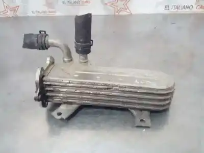Pezzo di ricambio per auto di seconda mano radiatore olio motore per volkswagen golf v (1k1) (10.2003) bxe riferimenti oem iam 038131513ad  