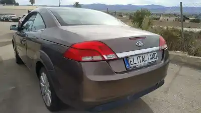 İkinci el araba yedek parçası çeşi̇tli̇ parçalar için ford focus cabrio (ca5) g6db oem iam referansları   