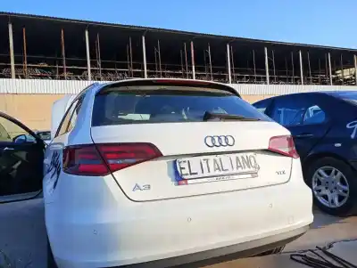 Recambio de automóvil de segunda mano de PORTON TRASERO para AUDI A3 SPORTBACK (8VA)  referencias OEM IAM   