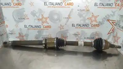 Recambio de automóvil de segunda mano de TRANSMISION DELANTERA DERECHA para FORD FOCUS LIM. (CB8)  referencias OEM IAM RMAV613B436C2C  