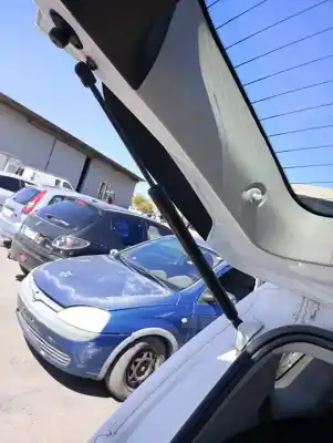 Автозапчасти б/у амортизаторы багажника/двери за opel meriva b monospace (s10) 1.3 cdti (75) ссылки oem iam 