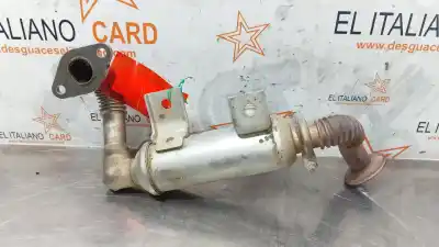 Pezzo di ricambio per auto di seconda mano raffreddatore egr per ford transit connect (tc7) d-r3pa riferimenti oem iam 7t1q9f464aa  