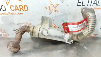 Pezzo di ricambio per auto di seconda mano raffreddatore egr per ford transit connect (tc7) d-r3pa riferimenti oem iam 7t1q9f464aa  