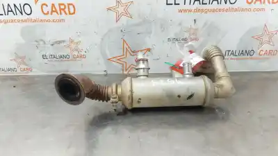 Pezzo di ricambio per auto di seconda mano raffreddatore egr per ford transit connect (tc7) d-r3pa riferimenti oem iam 7t1q9f464aa  